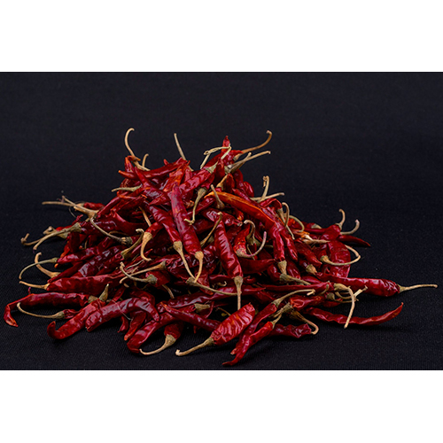 Dry red chilies